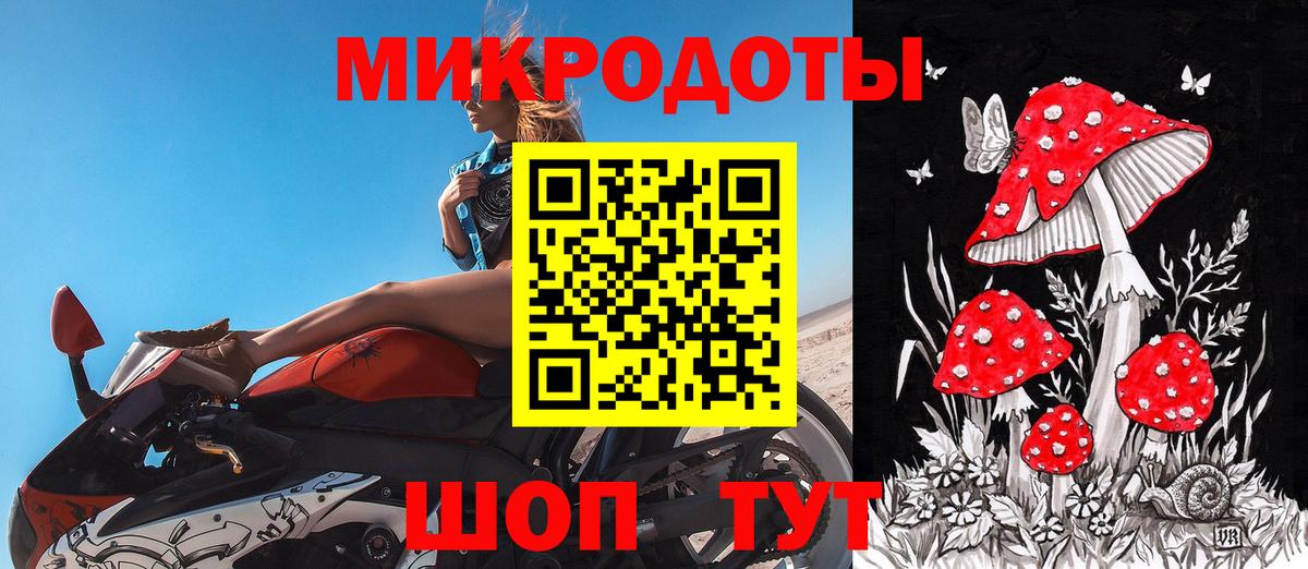 Псилоцибиновые грибы Psilocybine cubensis Кировск