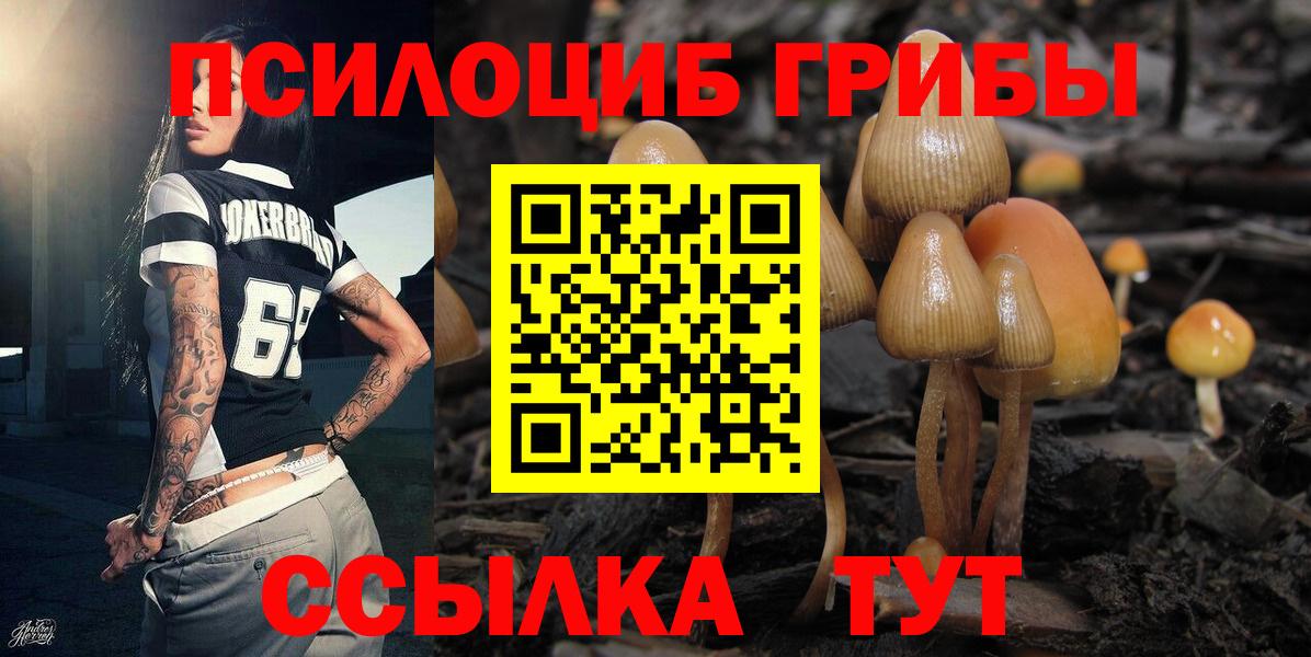 Псилоцибиновые грибы MAGIC MUSHROOMS  Галлюциногенные грибы GOLDEN TEACHER  Вход с VPN  Кировск 